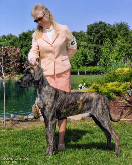 BB t 7 months old.