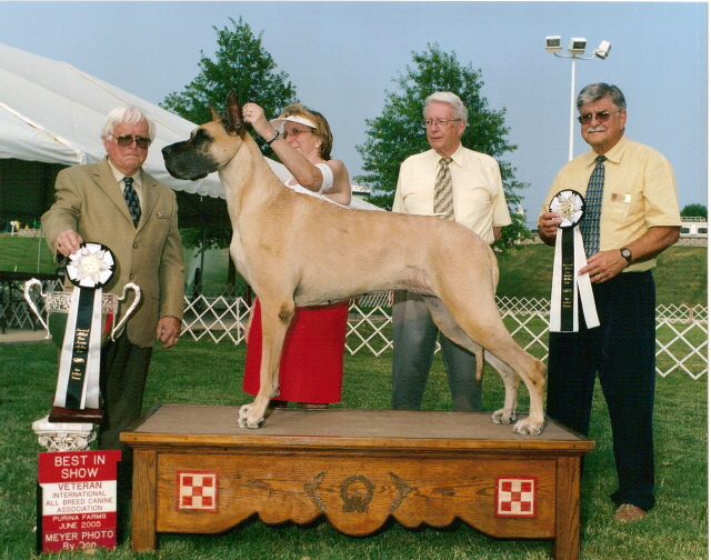 Tori at 7 years old going BIS veteran at the International shows in June 2005