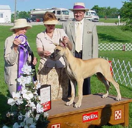 Sarah going Best in Show Puppy