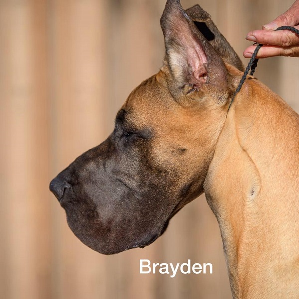 Brayden Head at 6 months
