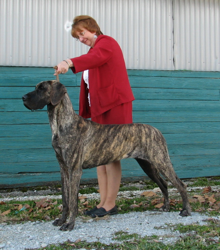 Charm 13 months old.