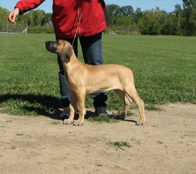 Choice at 11 weeks old.