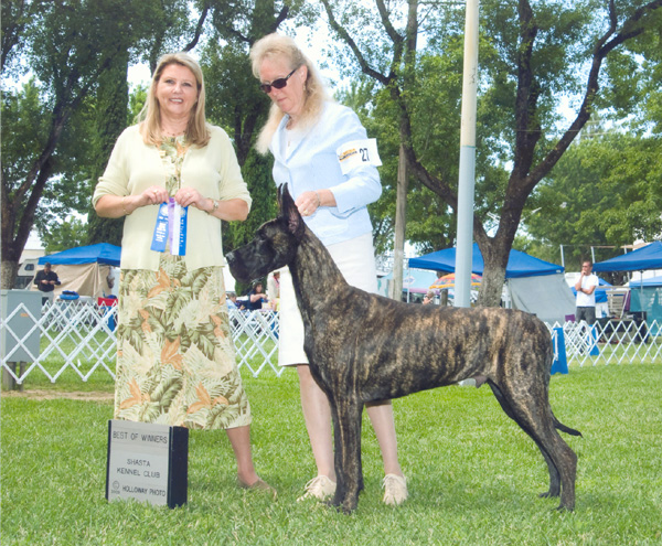 Cruiser taking WD BOW under Sharon Zaker.