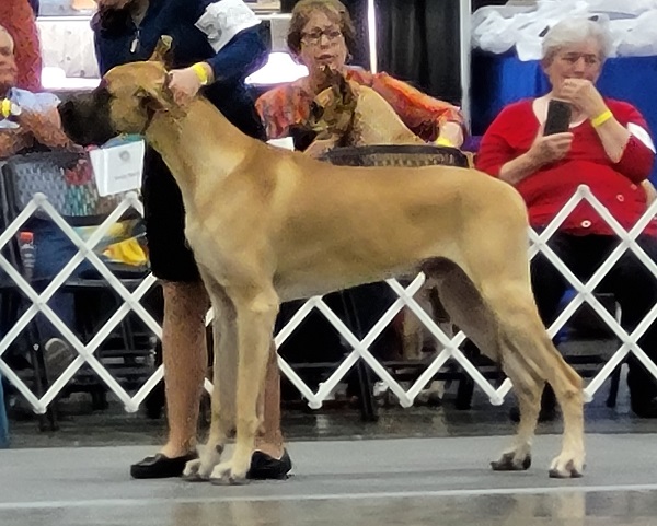 Diego in Ring at National