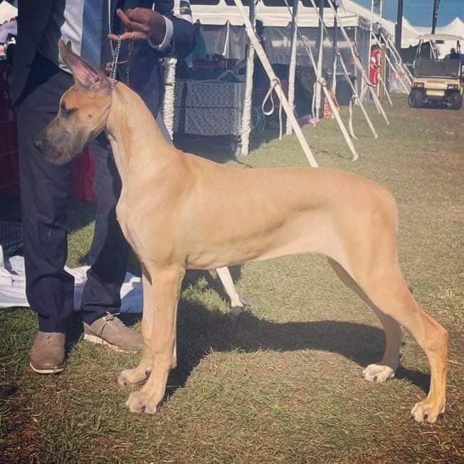 Donna 5 months.