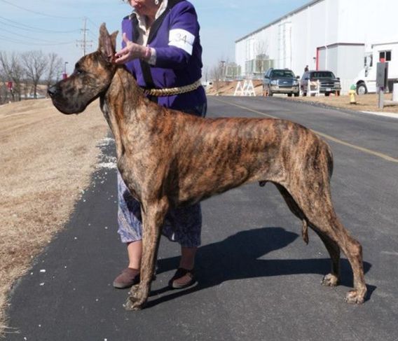 Gunnie at 15 months old