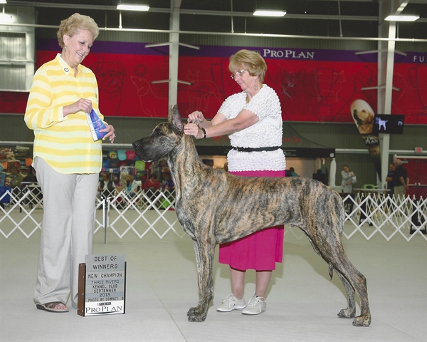 Gunnie finishing under Chris Walkowicz at 10 months old.