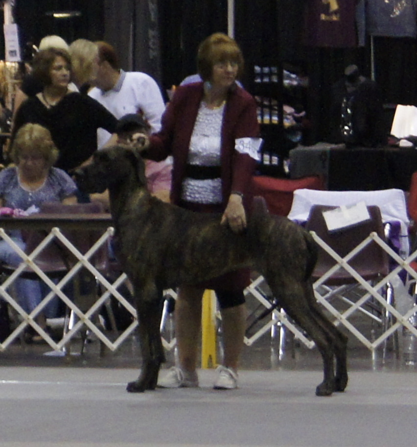 Isabelle at the 2012 national