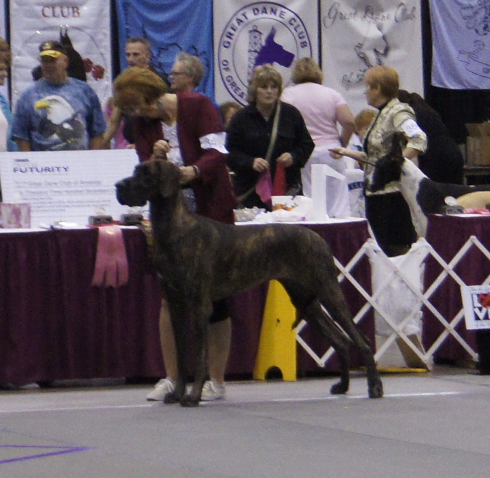 Isabelle at the 2012 national