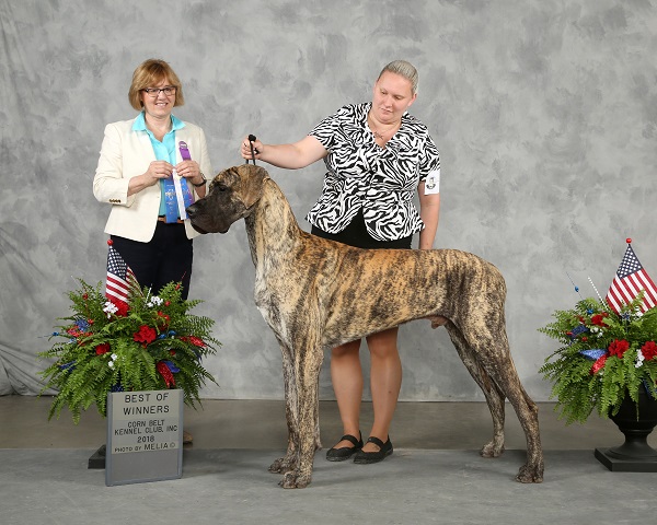 Leo winning BOW under Grace Fritz with Kristin Heiden