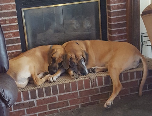 Lizzie and Reese on the fireplace