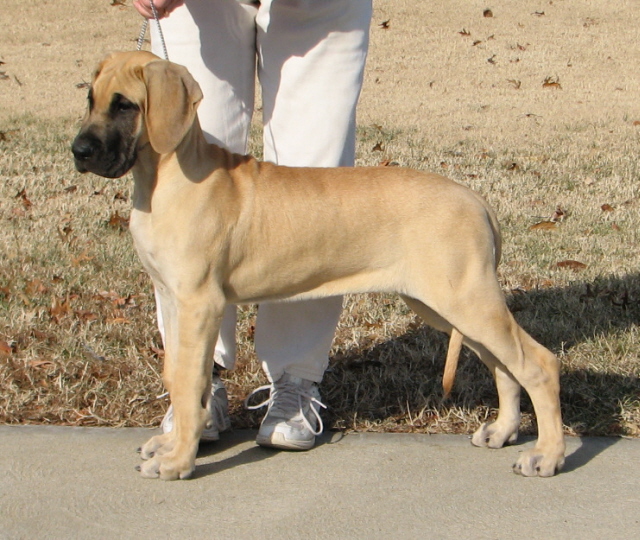 Reese at 15 weeks.