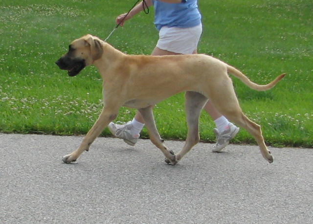 Reese movement at 8 months.