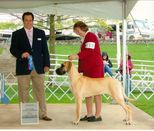 Reese at 7 months getting her first RWB first time in the ring under Robert Caswell.