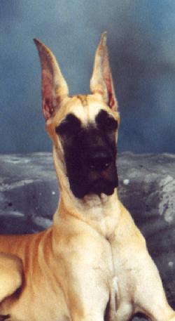 Sarah head shot at 5 months old (courtesy Winged Womyn photography)