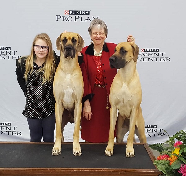 Vern BOW and LizzieWB to Finish both with majors.