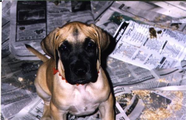 Victor at 7 weeks.