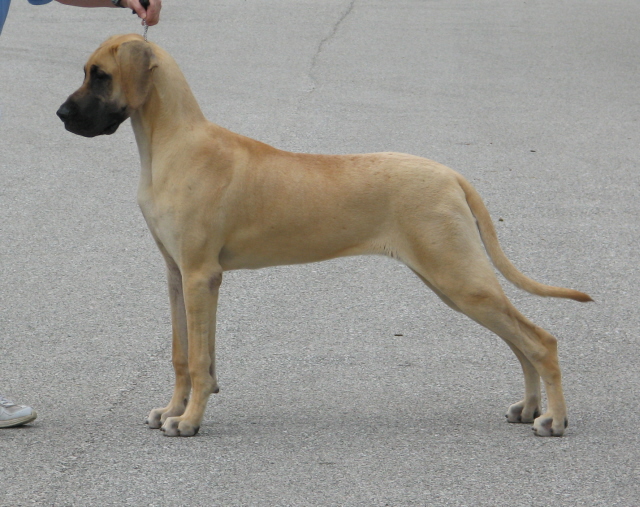 Reese Head at 8 months.